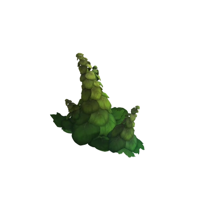 Algari Lettuce Plant