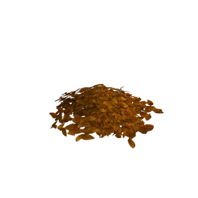 Autumn Leaf Pile
