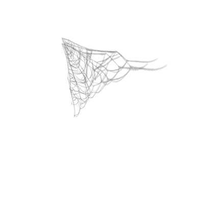 Ceiling Cobweb