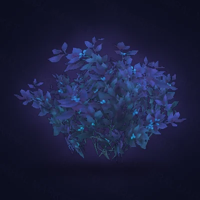 Celestial Grovebush