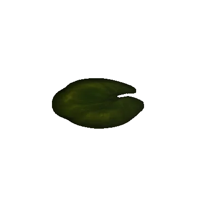 Cozy Lightbloom Lilypad