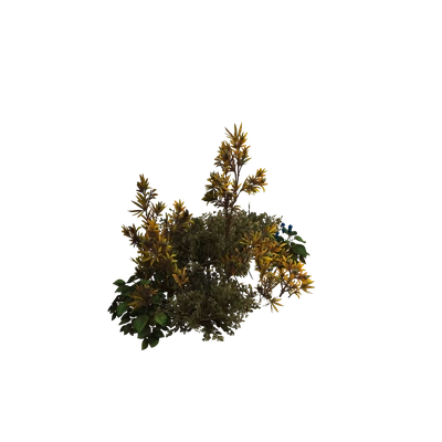 Cragthorn Highlands Large Garden Cluster