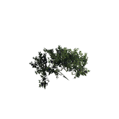 Duskberry Bush — WoW Housing decor