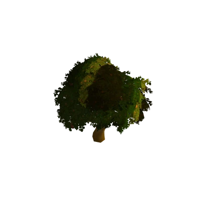 Elwynn Apple Tree