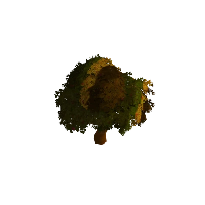 Elwynn Autumn Apple Tree
