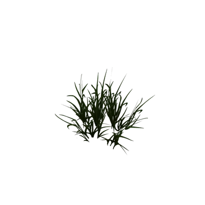 Elwynn Grass Patch — WoW Housing decor
