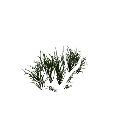 Elwynn Grass Spread — WoW Housing decor