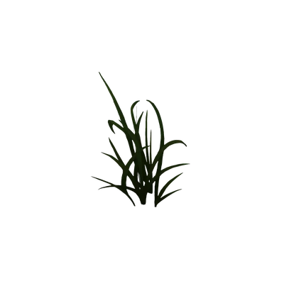 Elwynn Small Grass Patch — WoW Housing decor