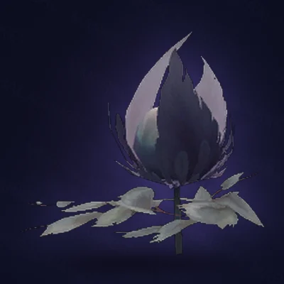 Elysian Bulbflower
