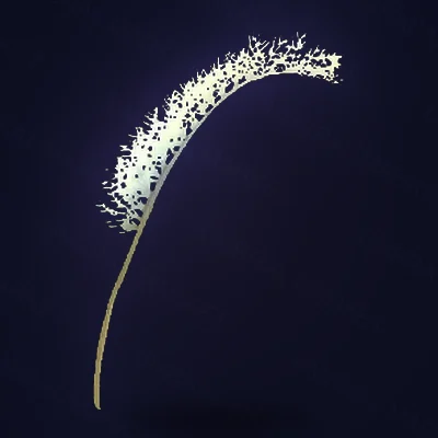 Elysian Skyfrond