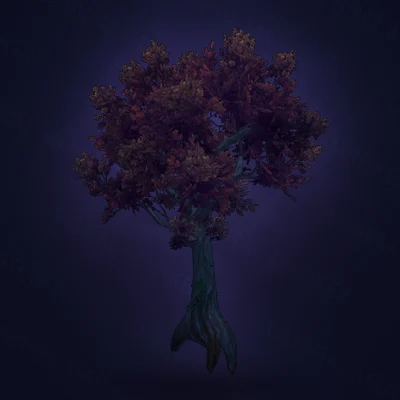 Embaari Beech Tree