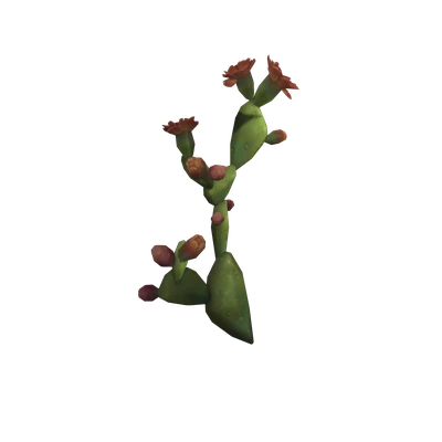 Flowering Durotar Cactus