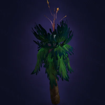 Flowering Zuldazar Palm