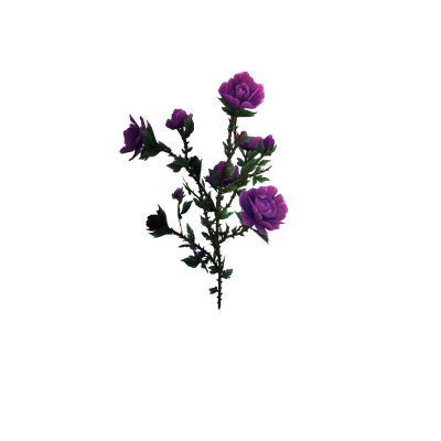 Gloomrose