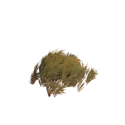 Hardy Razorwind Grass Patch — WoW Housing decor