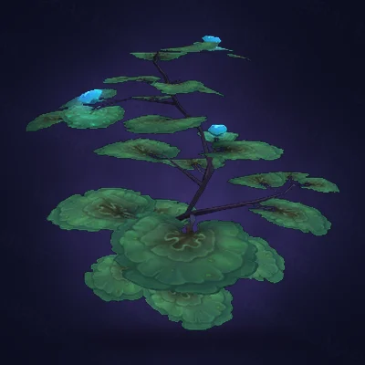 Kalandrios Lily