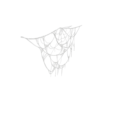 Large Dangling Cobweb