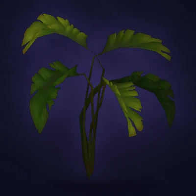 Loa-Blessed Fan Palm