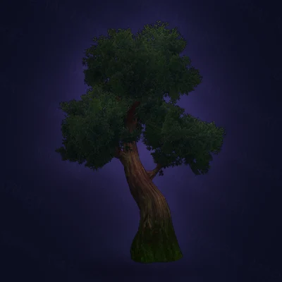 Mature Spiritwood Oak