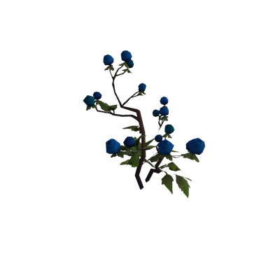 Nagrand Blueberry Bush