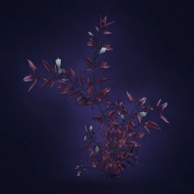 Nagrand Heart Ivy