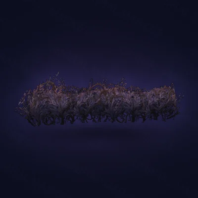 Nathrian Thicket Hedge