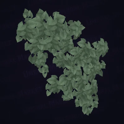 Old Moonbrook Creeping Ivy