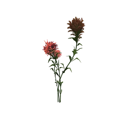 Pink Razorwind Paintbrush — WoW Housing decor