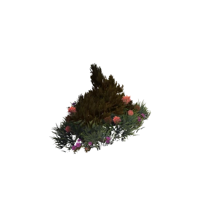 Razorwind Blooms Large Garden Cluster