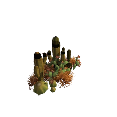 Razorwind Cactus Large Garden Cluster