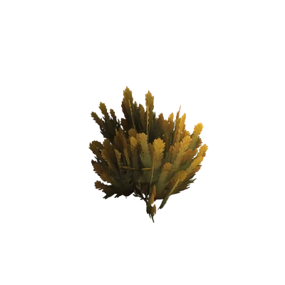 Razorwind Flamebrush — WoW Housing decor