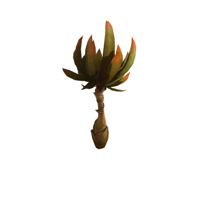 Razorwind Succulent Palm