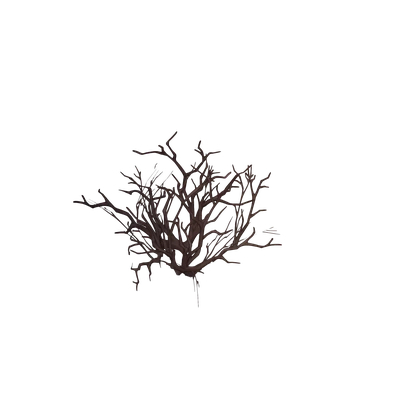 Razorwind Tumbleweed — WoW Housing decor