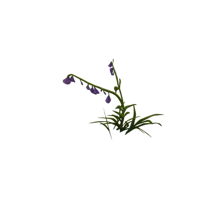 Reaching Violet Bellflowers
