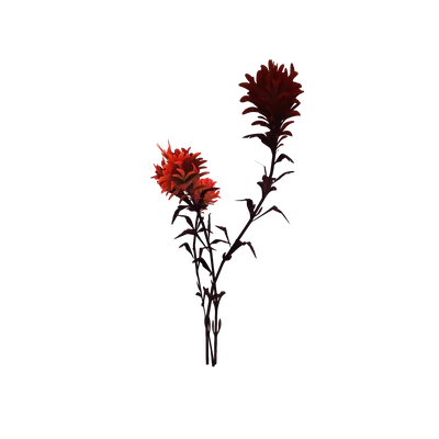Red Razorwind Paintbrush — WoW Housing decor