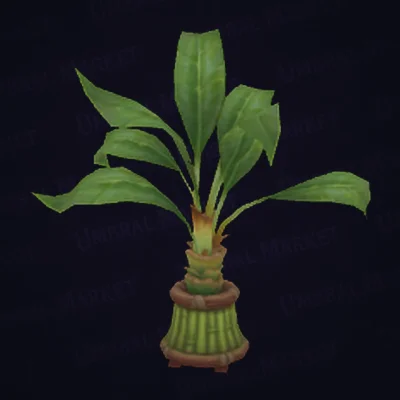 Seaside Tiki Frondtree
