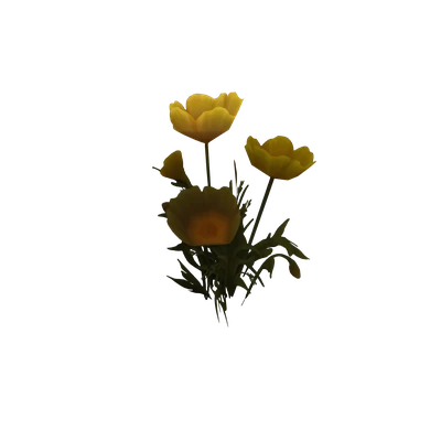 Small Poppy Cluster