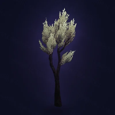 Small Shadowmoon Shadebrush