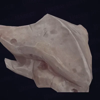 Soulcoiler Skull