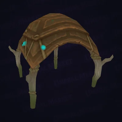Traditional Tortollan Tent