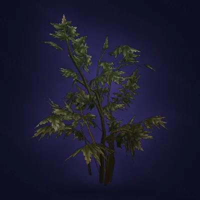 Withered Barrow-weed