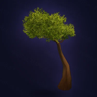 Young Sentinel Tree
