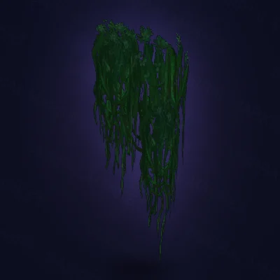 Zanchuli Wall Moss