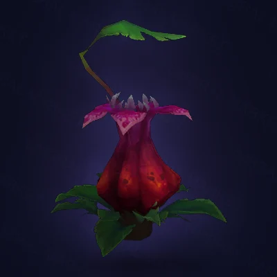 Zuldazar Pitcher Plant